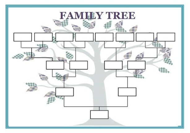 12+ Premium Family Tree Template For Free | Free &amp; Premium Templates for Blank Tree Diagram Template