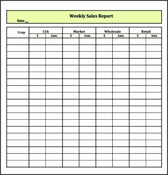 6 Editable Weekly Marketing Report Template - Sampletemplatess - Sampletemplatess Throughout Marketing Weekly Report Template