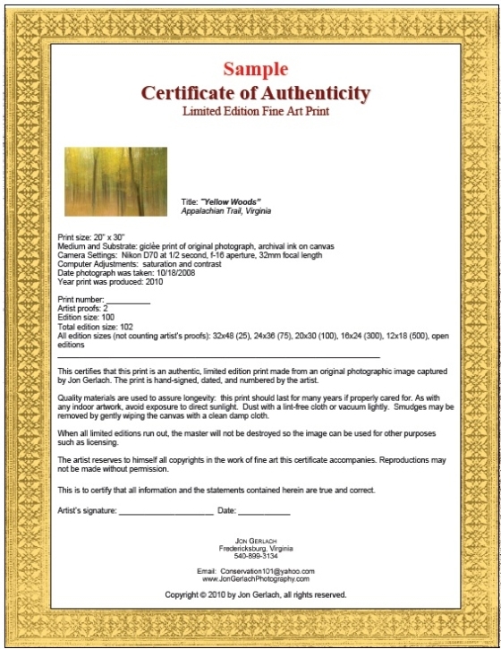 7 Free Sample Authenticity Certificate Templates - Printable Samples In Certificate Of Authenticity Template