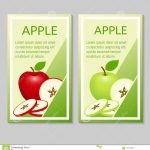 Apple Brochure Design Stock Vector. Illustration Of Diet - 110178278 with regard to Mac Brochure Templates