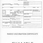 &quot;Dog Warden Alert&quot; - Love My Doggy Day Care regarding Rabies Vaccine Certificate Template