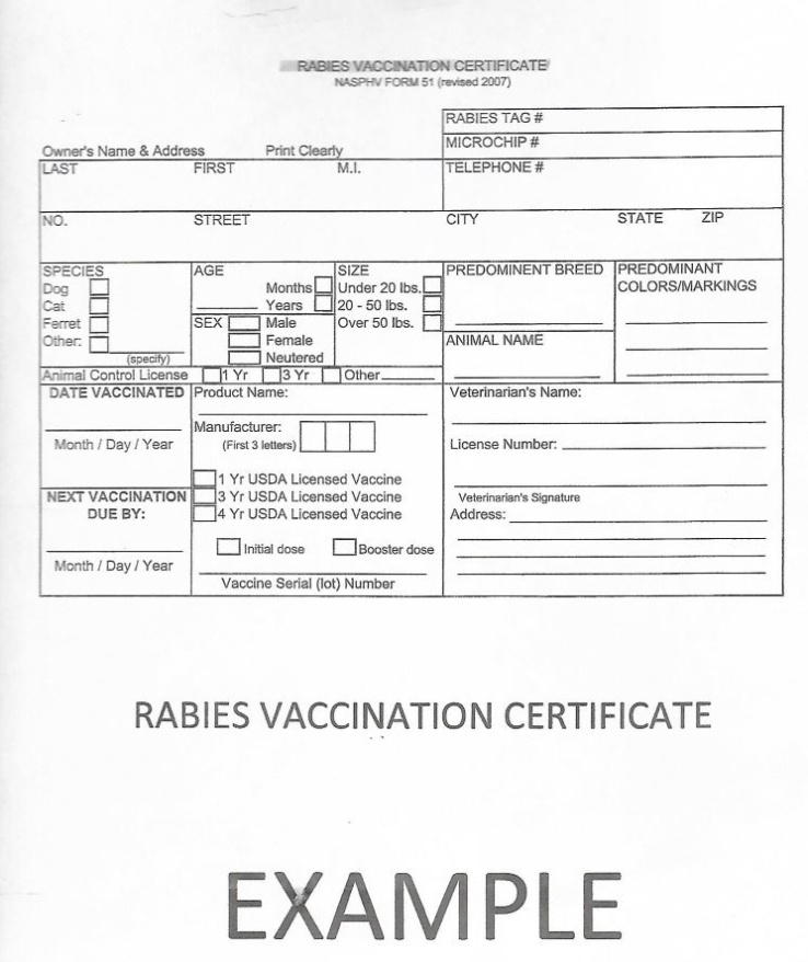 "Dog Warden Alert" - Love My Doggy Day Care Regarding Rabies Vaccine Certificate Template