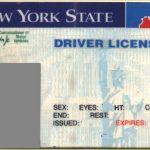 Free Indiana Drivers License Template Torrent - Mintjawer intended for Blank Drivers License Template