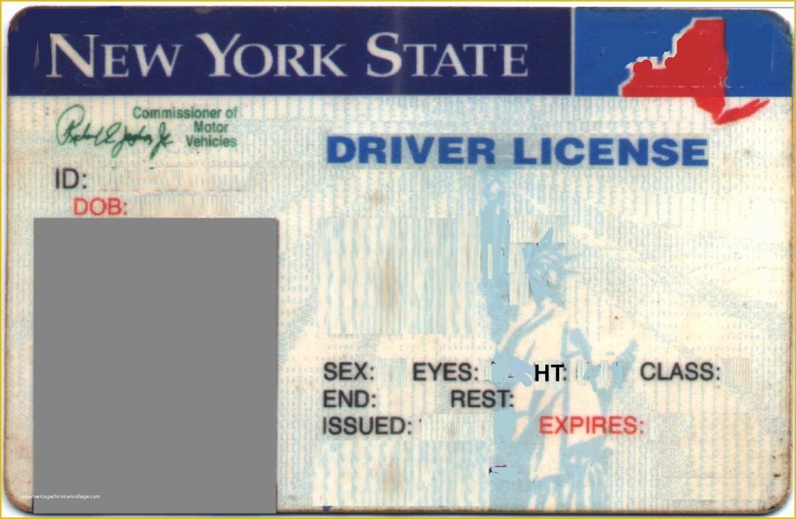 Free Indiana Drivers License Template Torrent - Mintjawer Intended For Blank Drivers License Template
