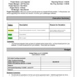 Monthly Project Status Report Template | Pdf Template regarding Monthly Status Report Template