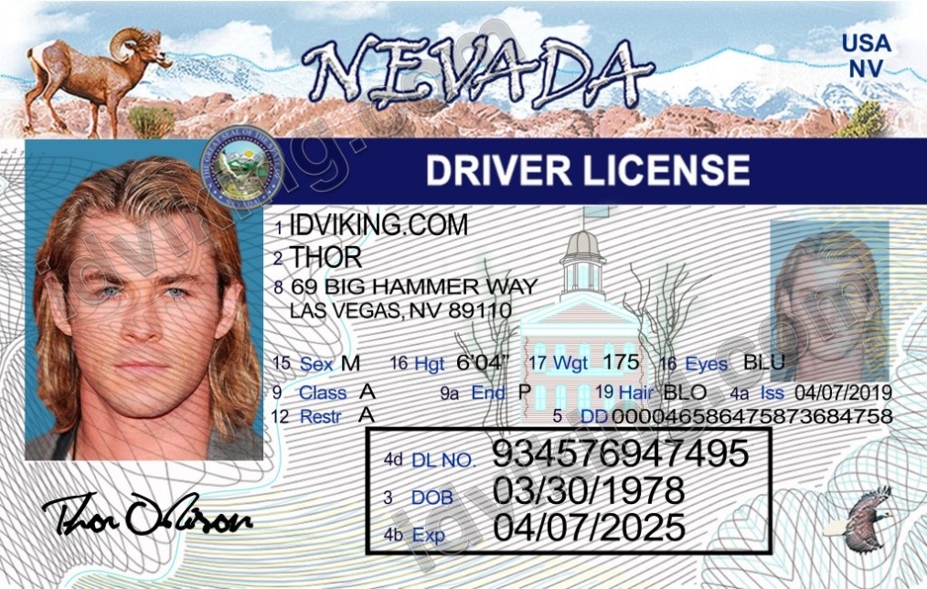 Nevada (Nv) - Drivers License Psd Template Download - Idviking - Best Regarding Blank Drivers License Template