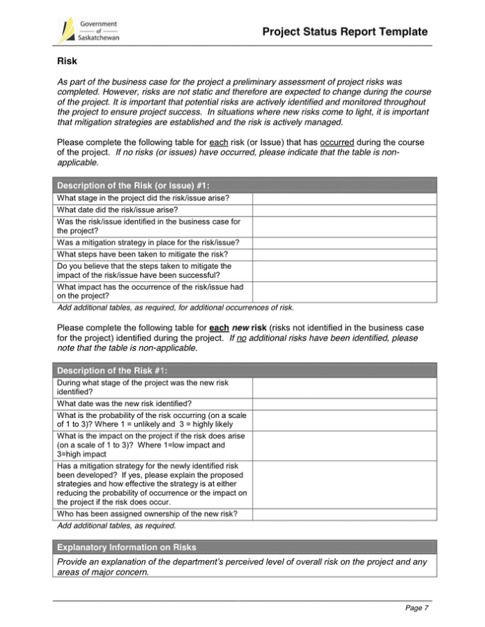 Project Monthly Status Report Template In Word And Pdf Formats - Page 7 Inside Project Monthly Status Report Template