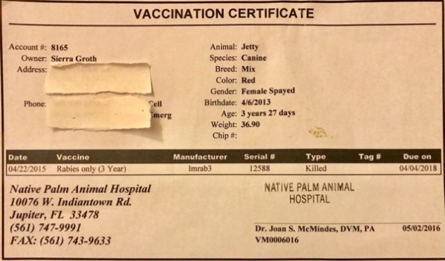 Rabies Vaccine Certificate - Tula'S Endless Summer Within Rabies Vaccine Certificate Template