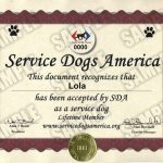 Service Dog Certificate - Service Dogs America with regard to Service Dog Certificate Template