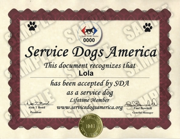 Service Dog Certificate - Service Dogs America With Regard To Service Dog Certificate Template